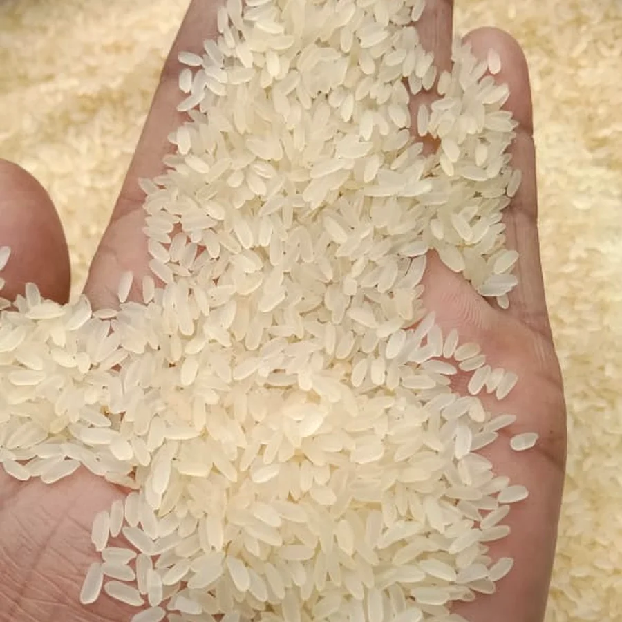 Actual Pronance rice sample: Swarna, Short Grain