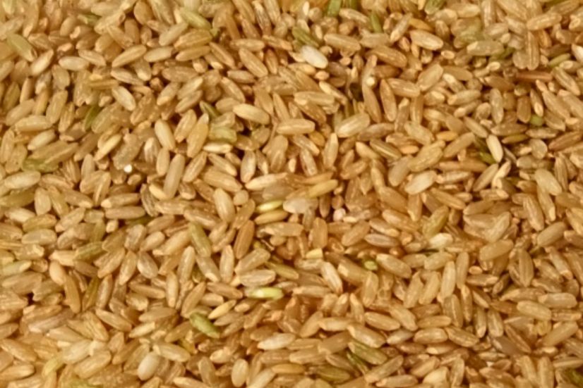 Brown rice bulk supplier West Bengal India